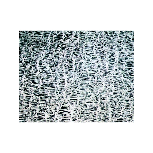 Hydrophobic Membrane with Supported Polypropylene Net Hydrophobic Membrane with Supported Polypropylene Net