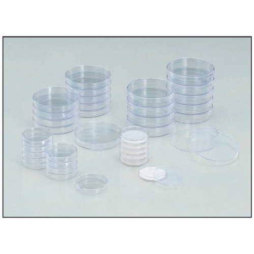 Petri Dish Petri Dish